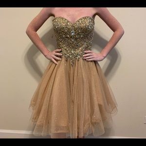 Terani Couture gorgeous cocktail dress.